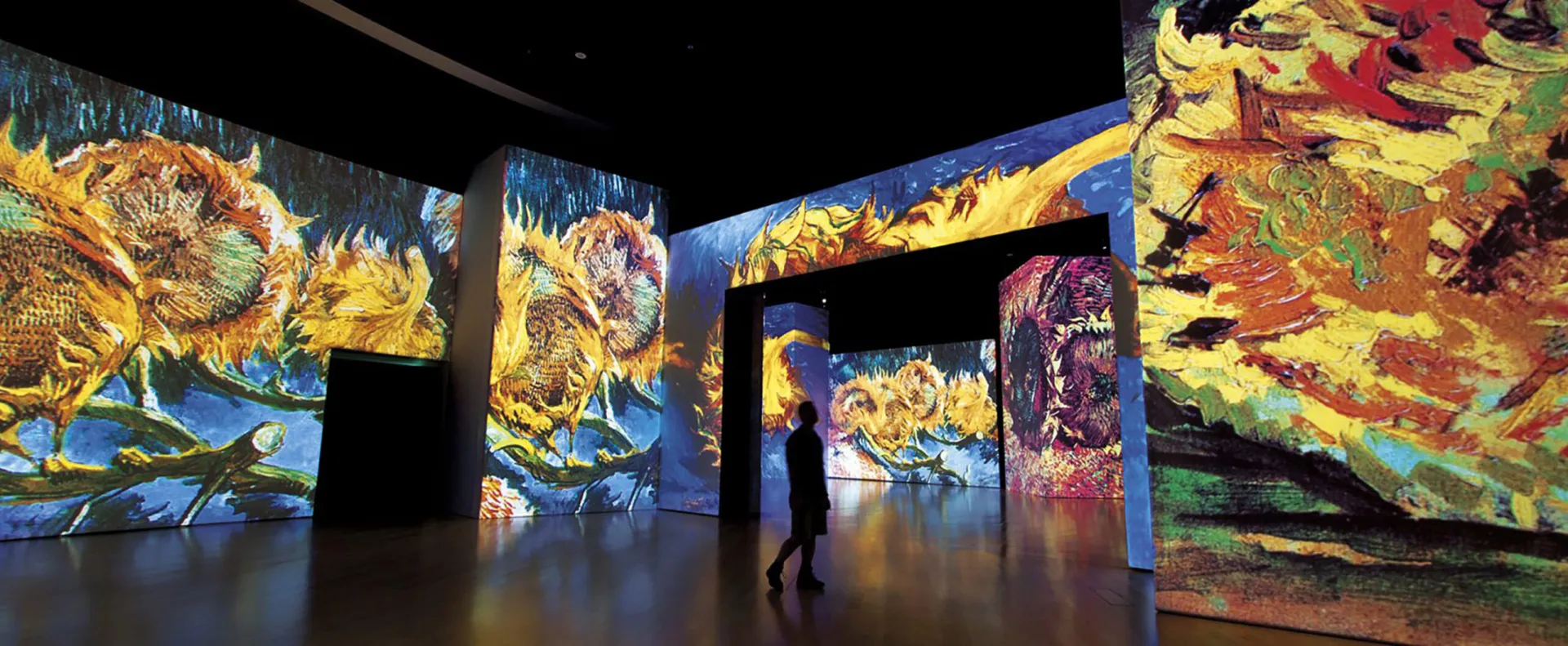 GRANDE EXHIBITIONS – Van Gogh Live Exhibition