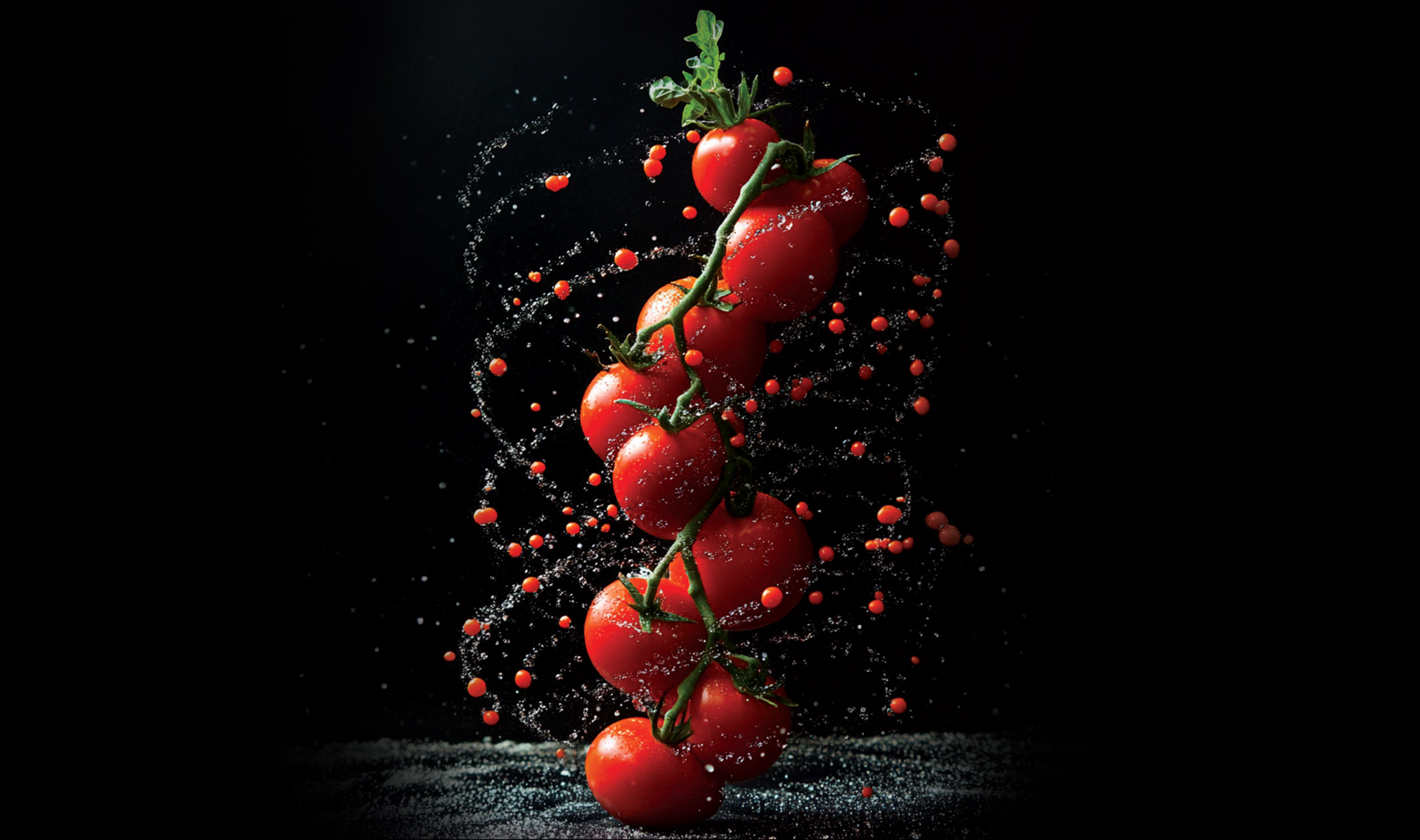 PETTI – New Packaging